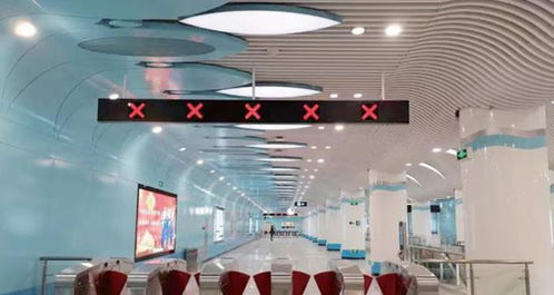 創新技術，產品為王——對話深圳茂碩電子科技總經理謝擁軍